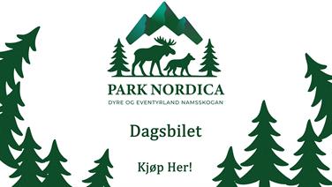 Image for: Dagsbillett